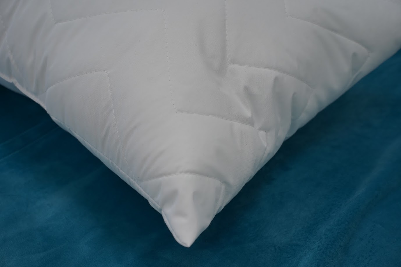 Jastuk Albergo Microsoft