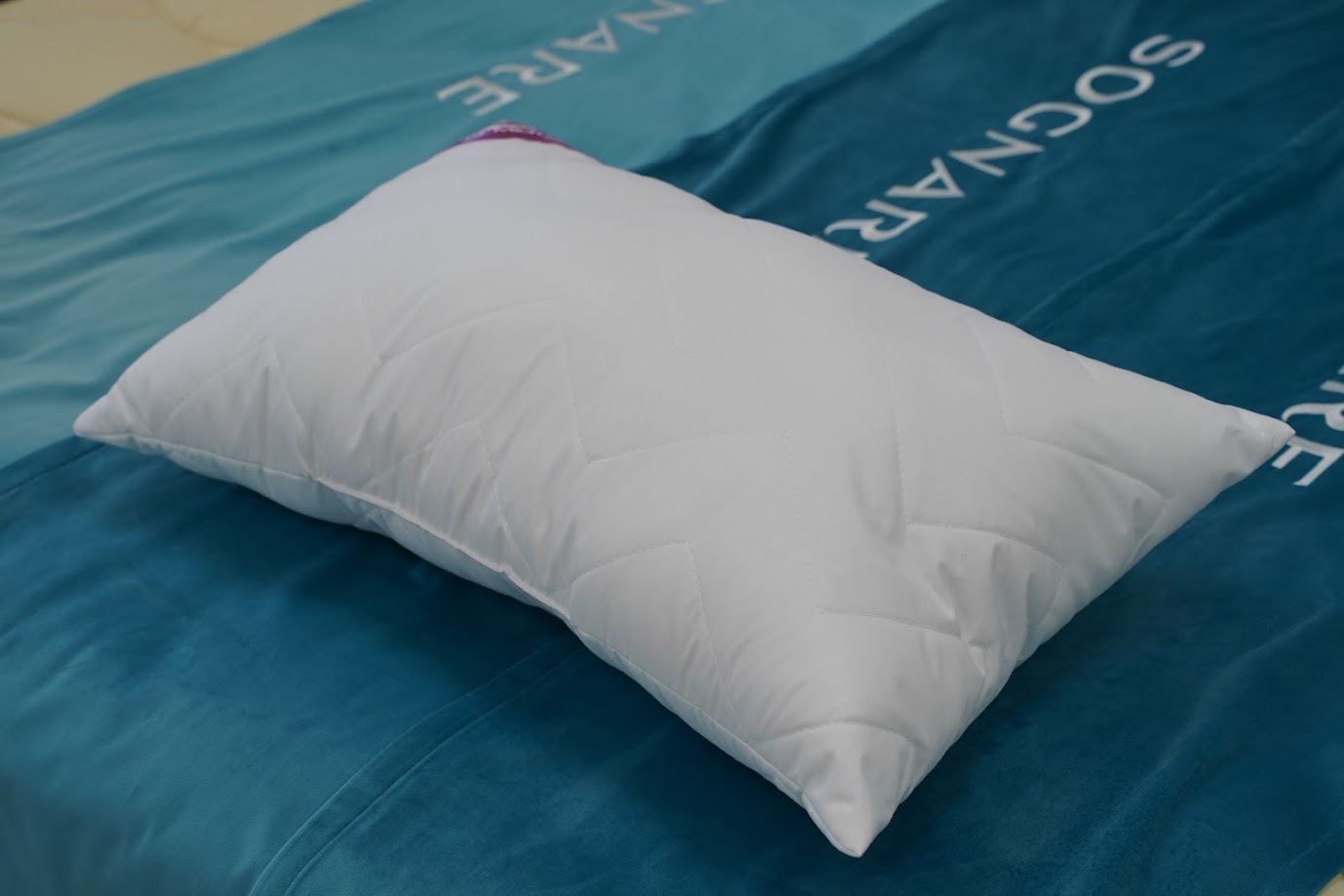 Jastuk Albergo Microsoft
